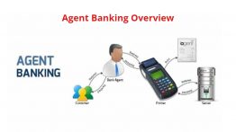 Agent Banking Overvioew