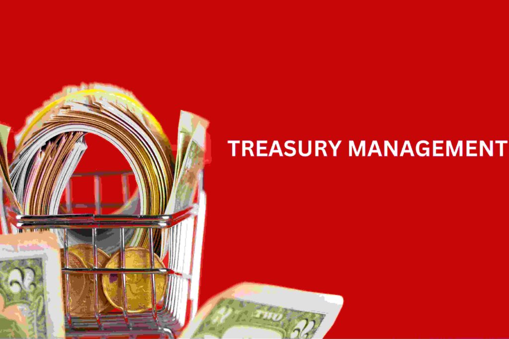 Treasury Management